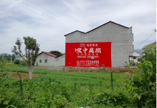  隆安做墙体广告的意义