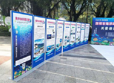  隆安KT板的种类和知识。